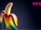 CSD
